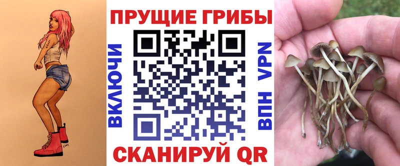 Купить где  Закаменск  Псилоцибиновые грибы Magic Shrooms 